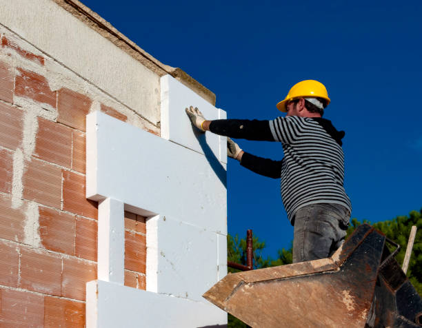 Best Best Insulation Companies  in Way, NE