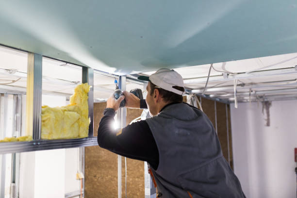 Best Insulation Repair Services  in Way, NE