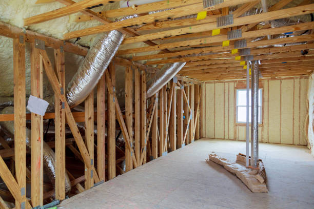 Best Spray Foam Insulation  in Way, NE