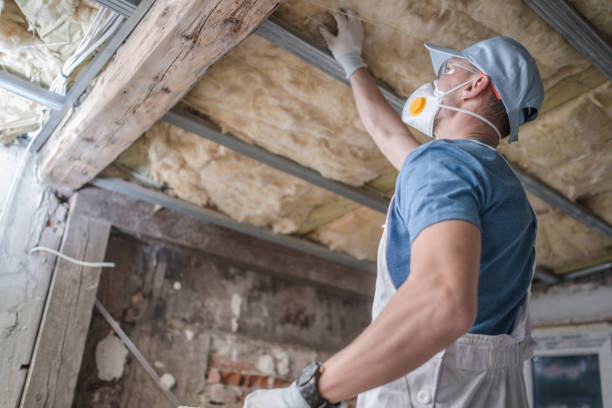 Best Insulation Removal  in Way, NE