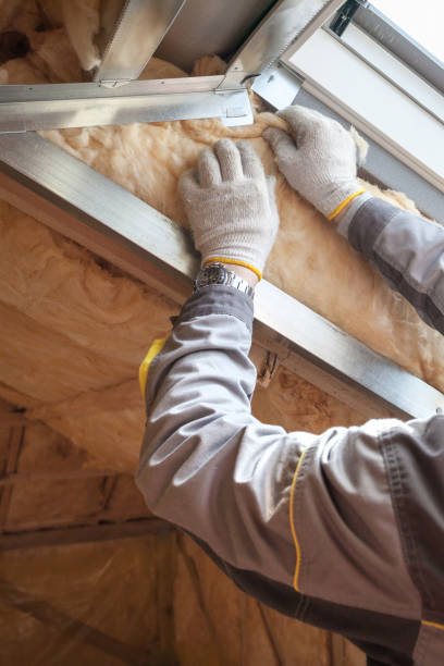 Best Insulation Replacement Services  in Way, NE