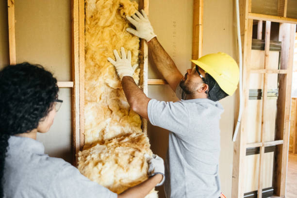 Best Attic Insulation Installation  in Way, NE