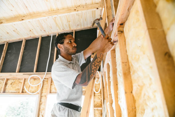 Best Blown-in Insulation  in Way, NE