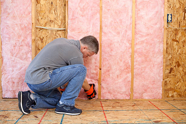Best Soundproof Insulation Installation  in Way, NE